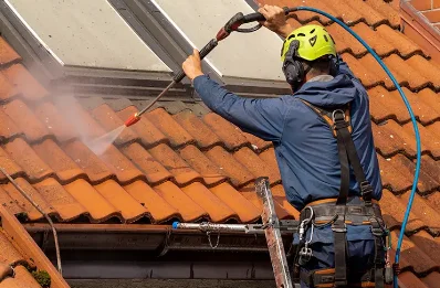 Démoussage et hydrofuge de toiture à Cize